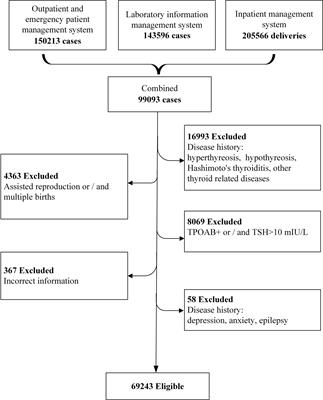 Fetal sexual dimorphism of maternal thyroid function parameters during pregnancy, a single center retrospective real-world study